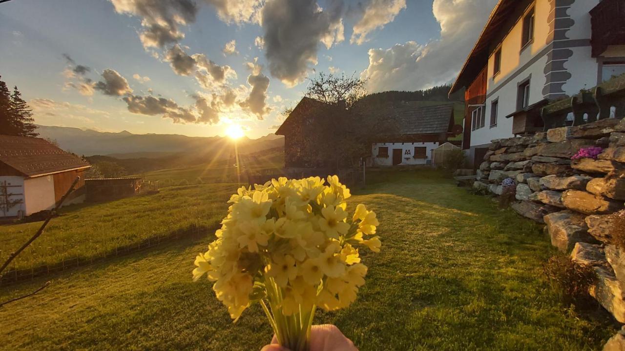Schweizer Hof * Tamsweg