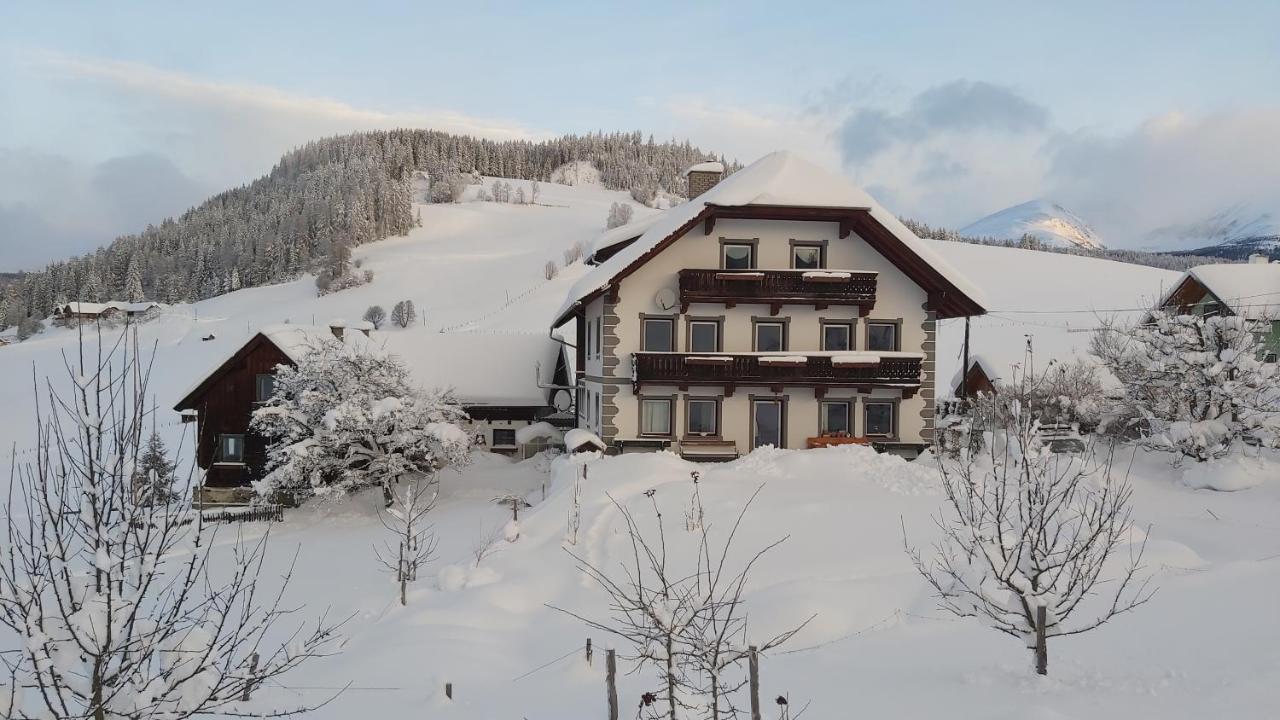 Schweizer Hof Apartment Tamsweg