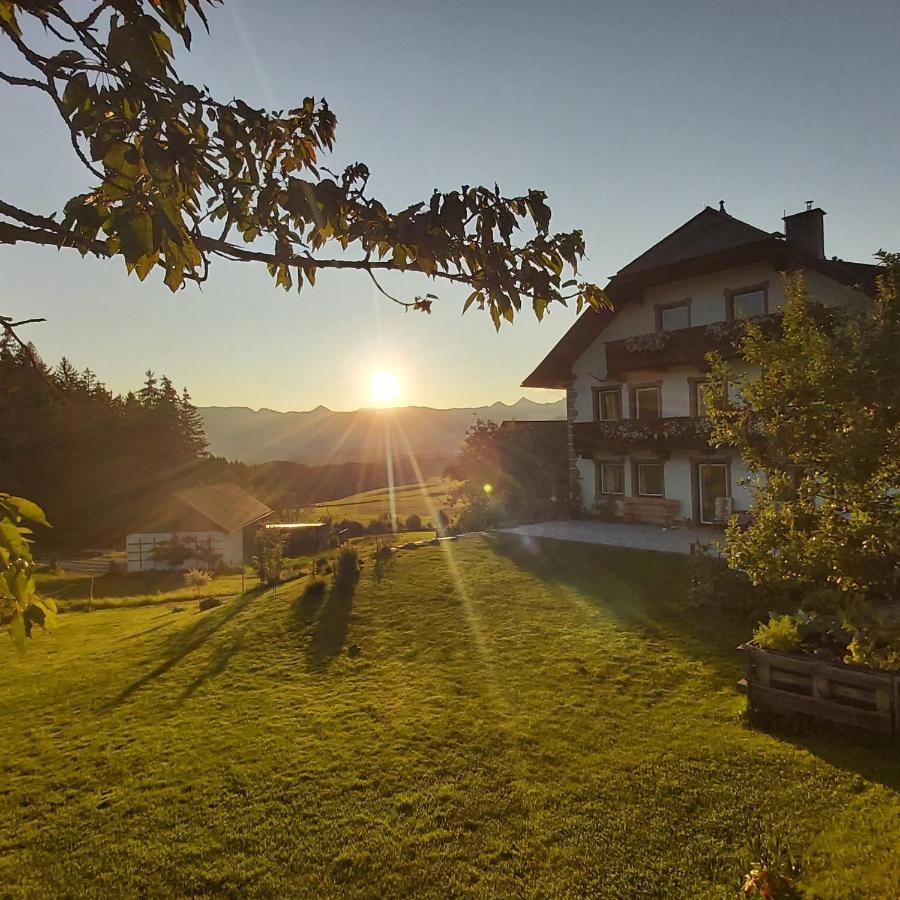Apartment Schweizer Hof